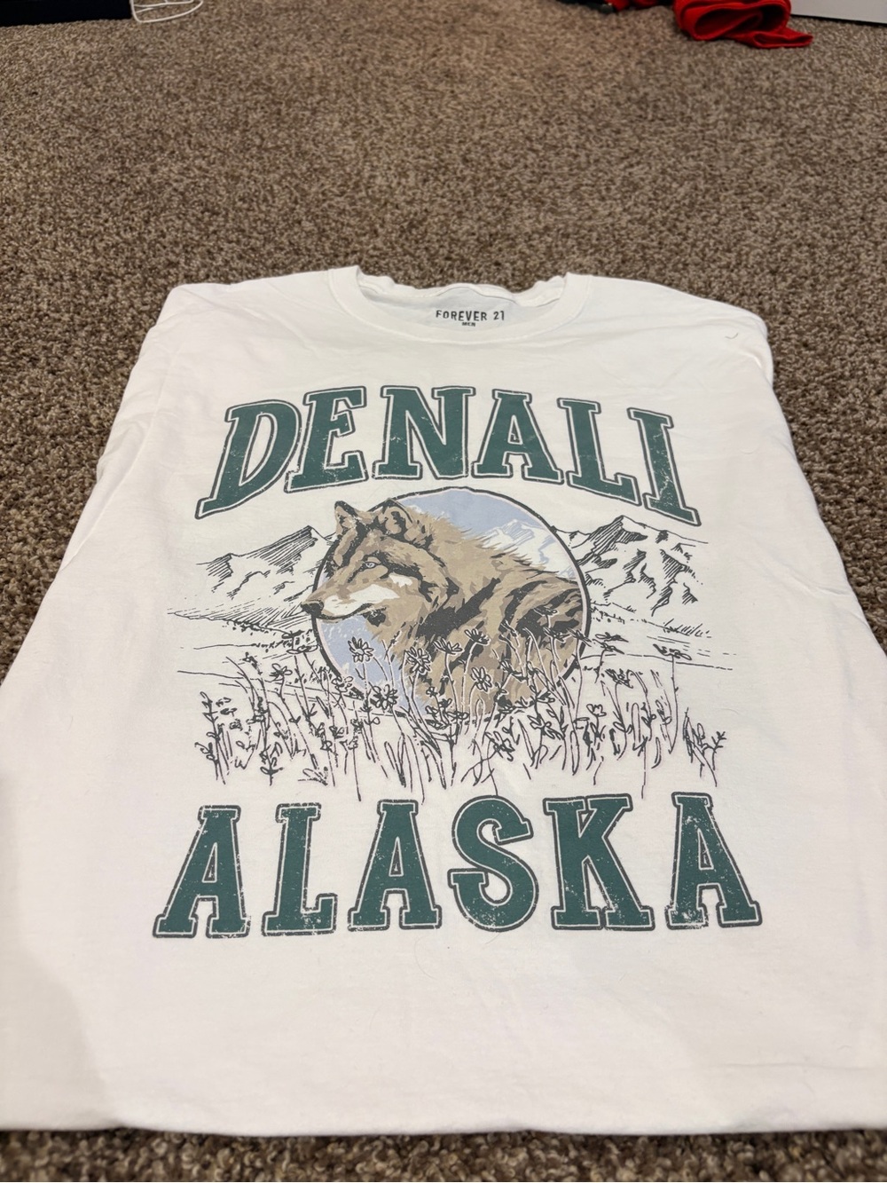 Forever 21 White Denali Alaska Graphic Tee with Teal & Tan